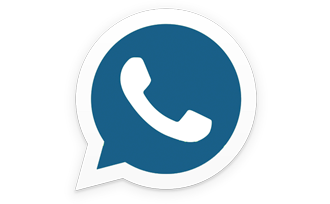 whatsapp Surf Shop